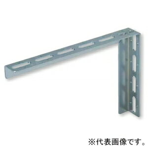 【仕様】●メーカー:日栄インテック●型番:102305003310030●商品名:ドブL型ブラケット L40タイプ 長さ300×高さ200mm 溶融亜鉛めっき仕上●L40タイプ●コードNo.:0030●型番:NB-3●寸法(mm):L 300、H 200●仕上:溶融亜鉛めっき【ご注意】※L型ブラケット、ハンディブラケットを使用される場合、荷重によるたわみに注意してご使用ください。