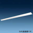日立 交換形LEDベース器具 《スマートユニット》 一般形 直付形 110形 逆富士形 NC8A+CE806DE-N14A(3)