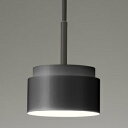 遠藤照明 LEDペンダントライト フレンジタイプ 白熱球50W形×1相当 調光対応 GX53-1a口金 ランプ別売 ERP7021B(3)