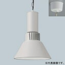 遠藤照明 LEDテクニカルペンダント 高天井用 8000TYPE 水銀ランプ400W器具相当 拡散配光 非調光 ERP7467WA+RS-903W(3)