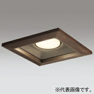 ǥå LED饤 ѷ R15 饹2 ⵤ̩SB Ǯ100W饹 OD361330LDR