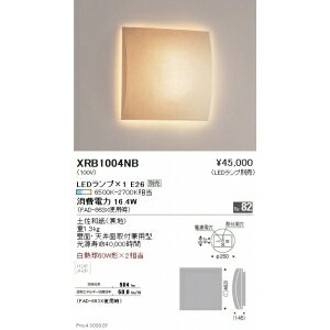 遠藤照明《AbitaStyle》ブラケットライトランプ別売XRB1004NB