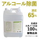 RT5L65DNZ 電材堂 除菌に最適 業務用 アルコール製剤65 5L コック付き アルコール製剤65