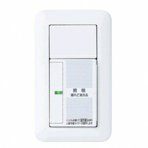 ѥʥ˥åŹ ڥ⥷꡼ 磻21 饿 2A 100V WTP5331WKP