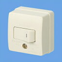 パナソニック 角型タンブラスイッチB(片切) 10A 300V WS3001W