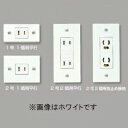 マサル工業 《エムケーダクト 付属品》 ダクトコンセント 2号(2個用抜止め接地) グレー DCA231