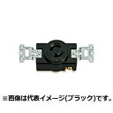 パナソニック 埋込引掛2Pコンセント 20A 250V ミルキーホワイト WF2220WK(3)