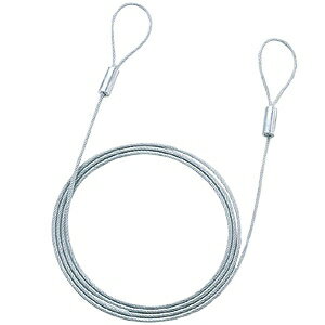 サンワサプライ セキュリティワイヤー 長さ2.0m 直径3.5mm 《eセキュリティ》 SLE-1W-2