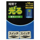 花岡 蓄光シール 《スイッチ》 標示タイプ α-FLASH採用 30×20mm 2枚入 AF1004