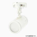 ニッケンハードウエア 一体型LEDアームスポット 《ViewTron》 フランジセット バラストレス水銀ランプ250-300W相当 配光角120° 昼光色 ブラ...