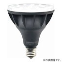 ニッケンハードウエア LED電球 《ViewLamp》 バラストレス水銀ランプ300W形 縦型看板用 狭角40° 昼光色 E39口金 アイボリー VLE39NR...