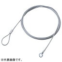 ELECOM ワイヤー 太さ2.2mm×長さ1m ESL-W1022(2)