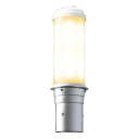 岩崎電気 LEDポールライト 《LEDioc AREA TOLICA-L》 水銀ランプ400W相当 防雨形 電球色 電源ユニット別置形 メタリックシルバー E5...