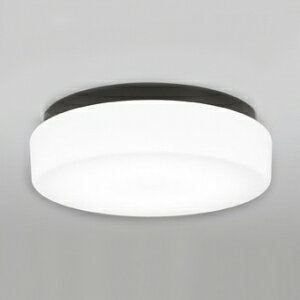 オーデリック LEDバスルームライト FCL30W相当 防雨・防湿型 壁面・天井面・傾斜面取付兼用 昼白色タイプ 黒色 OW269012ND