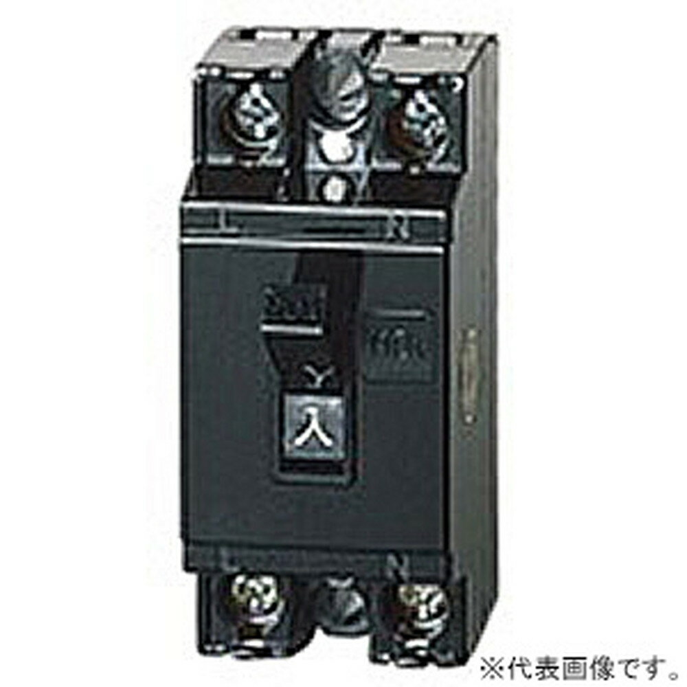 パナソニック 【ケース販売特価 20個セット】 安全ブレーカ 電灯・分岐用 HB-1E型 2P1E 30A BS1113_set