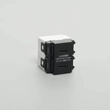 アメリカン電機 A200B 埋込USB給電コンセント2ケ口 黒 2.4A 5V