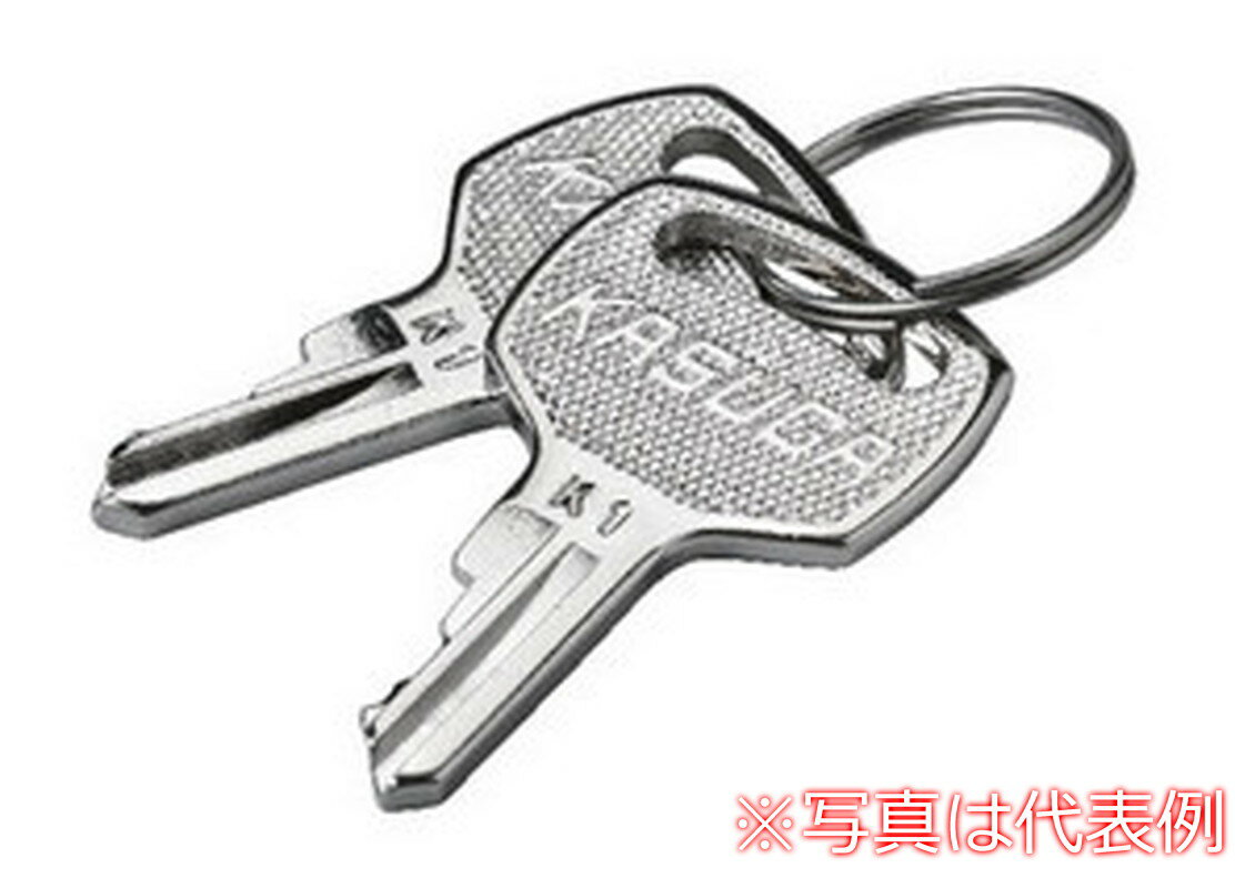 【受注生産品】パトライト （旧春日電機） UN80PJKEY キーセレクタ用スペアキー ホイスト用押ボタン開..