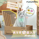 猫 爪とぎ つめとぎ 五枚セット 段ボール 猫 ベッド ダンボール 詰め替え 両面使える 寝床 爪磨ぎ 耐久性 多頭飼い 猫用品 省スペース ストレス解消 がり...