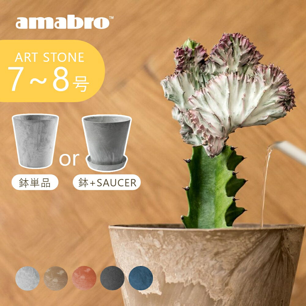 amabro アートストーン 植木鉢 プラン