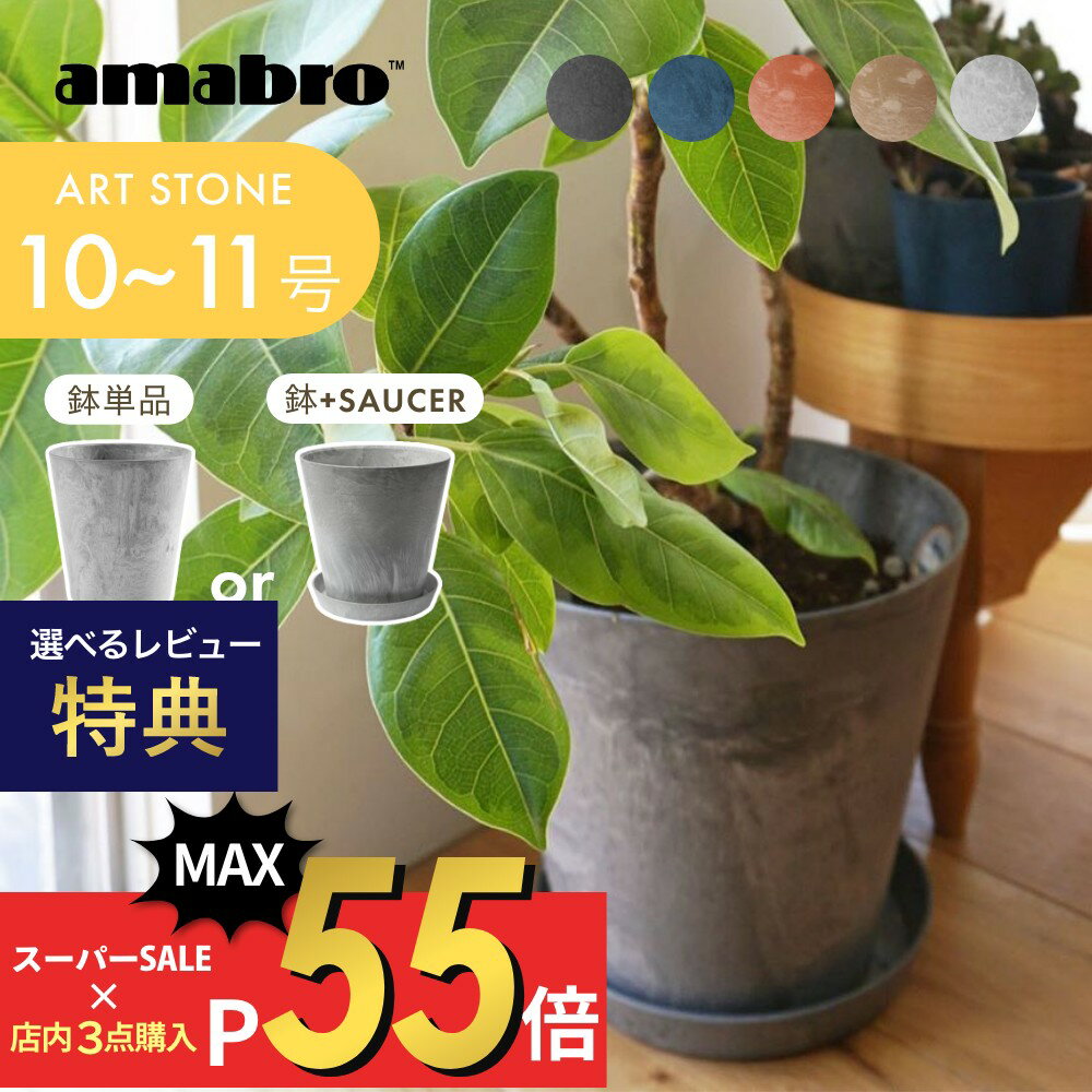 陶器鉢 植木鉢 白 おしゃれ 観葉植物 皿付き プランター 鉢 底穴付き 部屋 飾りプランター インテリア シンプル 15cm ホワイト