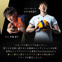 【レビュー特典】Colantotte コラントッテ Sports Pro マグチタンネックレス SG160 磁気ネックレス 石川祐希選手愛用 高級 純チタン おしゃれ メンズ レディース 男性 女性 効果 交互配列 肩こり 首 強力 スポーツ 3