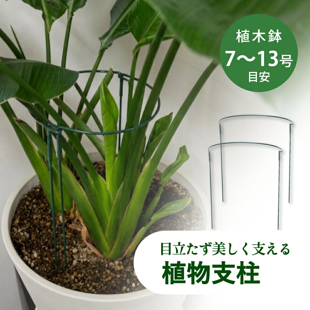 【レビュー特典】植物支柱 園芸支柱 半円観葉植物 園芸 おしゃれ ガーデニング 花 支える 支柱 花支え ガーデニング用支柱 ガーデニング用品 フラワーサポート フラワーサポーター フラワースタンド