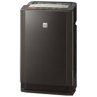 日立 PM2.5対応 除湿・加湿空気清浄機 ステンレス・クリーン クリエア EP-LV1000(T) 空気清浄~31畳/除湿~16畳/加湿~14畳