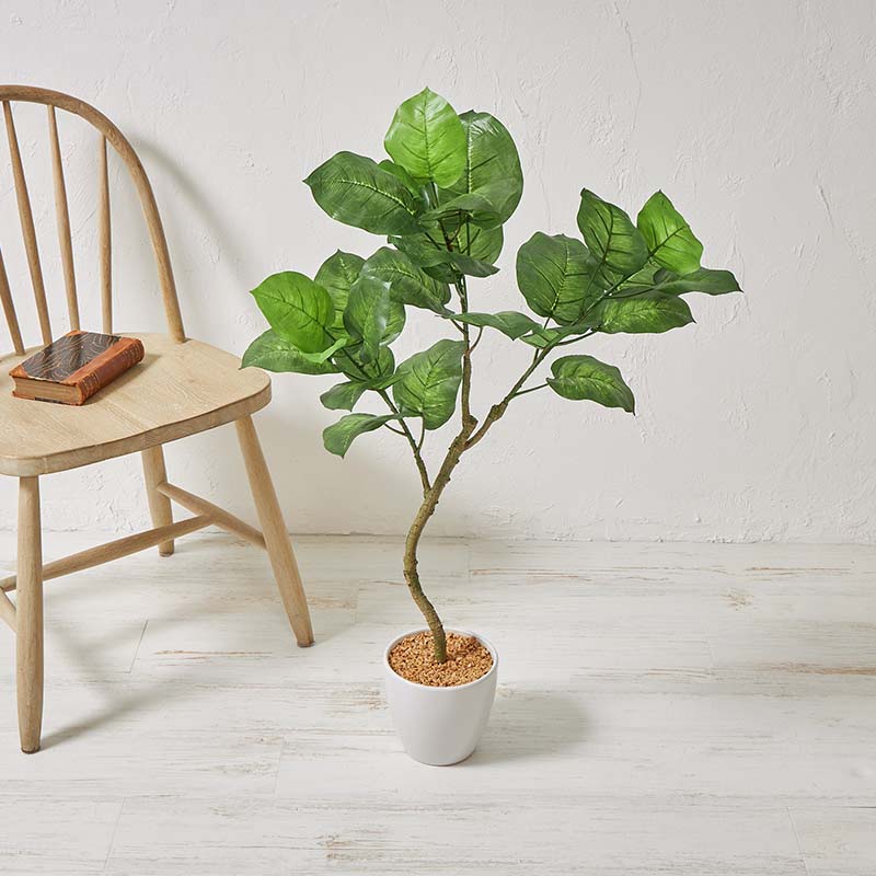 フェイクグリーン 観葉植物 約100cm ウンベラータツリー 光触媒加工 消臭 抗菌 銀チタン 水遣り不要 枯..