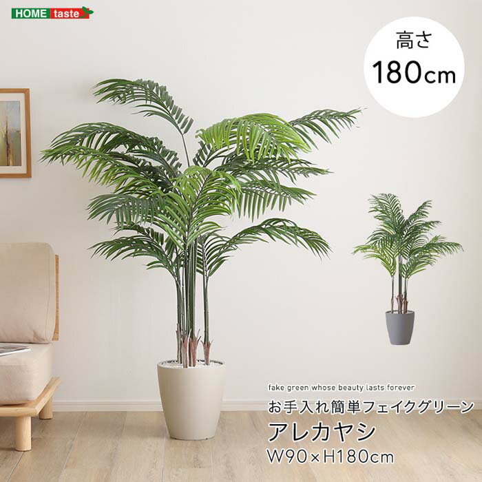樂天商城 - お手入れ簡単フェイクグリーン アレカヤシ Lサイズ(140cm)