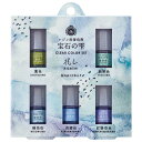パジコ レジン用着色剤 宝石の雫クリアカラーセット<兆し> 5色セット 寒色 冬カラー ミニサイズ【メール便 送料無料】