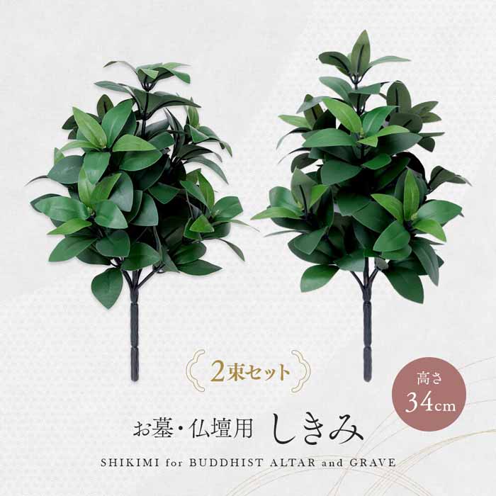 �ڳ�ŷ�����ѡ�SALE_10%OFF�ۤ��衦ʩ���� ������ 2«���� 1010580