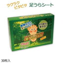 リフレ ラクラクピタピタ足うらシート 2枚入り×15包(4)