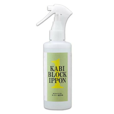 カビ防止スプレー 防カビスプレー カビブロックイッポン カーテン・窓ぎわ用 200ml