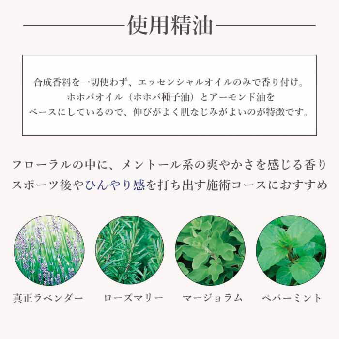 �ǥ��꡼�����ޥ���ѥ� �����ޥץ� �ޥå����������� ����������� 30002 500ml