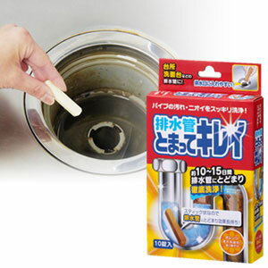 排水管とまってキレイ パイプクリーナー 配水管 排水口 排水管クリーナー 洗剤 洗浄 悪臭 ヌメリ 1061420