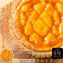 オレンジとあんずのタルトケーキ5号 柑橘 アンズ 杏 アプリコット 甘酸っぱい【メール便 送料無料】※同梱不可(4)