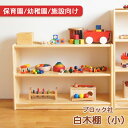 ブロック社 保育園 幼稚園 施設向け 白木棚 (小) 木製ラック おもちゃ片付け 絵本棚 子供用棚 送料無料 代引不可 ラッピング不可 大容量 国産 安心 安全...