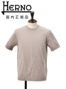 ヘルノ HERNO 半袖Tシャツ メンズ クルーネックカットソー ニット調 JERSEY KNIT EFFECT グレーブラウン レギュラーフィット ショートスリーブ シルバープレート 国内正規品 でらでら 公式ブランド