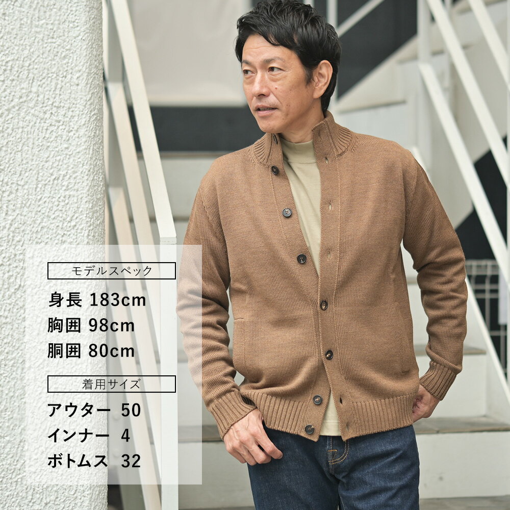 【スプリング30】ザノーネ ZANONE ニッ...の紹介画像2