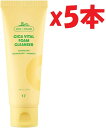 5本セット VTCOSMETICS(ブイティコスメテックス) VT CICA フォームクレンザー 敏感肌 スキンケア シカ 洗顔料 泡洗顔 (バイタル フォームクレンザー) 3j7