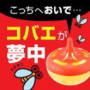 deraega:10005925のサンプル画像2