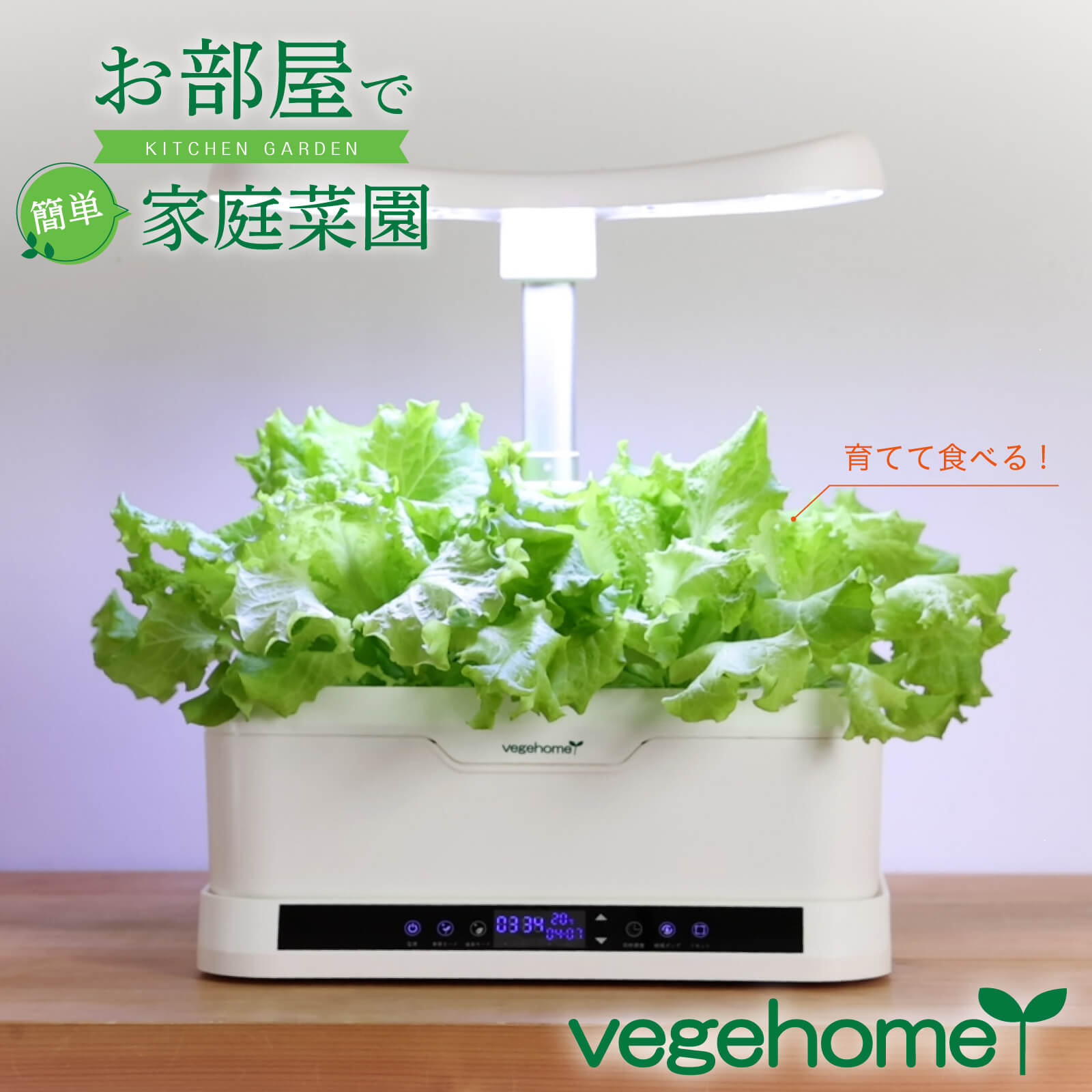 【お部屋で簡単 家庭菜園】 育てて食べる vegehome ベジホーム 基本セット 家庭栽培 庭いじり 野菜 栽培 水耕栽培 キット 小松菜 ミニトマト ラディッシュ ハーブ 大葉 ミント バジル グリーン インテリア LED オーガニック