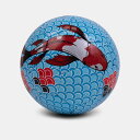 【公式】Touzani KOIボール 5号球 フリースタイル専用ボール KOI Ball フリースタイルフットボール フリスタ リフティング サッカー サッカーボール オランダ 【KOI BallオリジナルCarrier】付き