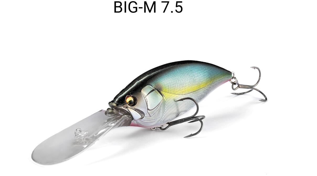 Rakuten - ビッグ　M　7.5　メガバス　BIG-M 7.5　Megabass
