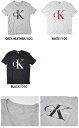 【●ポイント最大7倍付与！】Calvin Klein/カルバンクライン メンズTシャツ SHORT SLEEVE LOGO CREW NECK Tee 41QK961 2