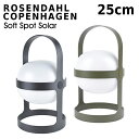 DEROQUE㤨֥ ڥϡ 25cm Rosendahl Copenhagen Soft Spot Solar H25 browned steel եȥݥå 顼 ɥ쥹 饤  顼 ̲ 26301 26311פβǤʤ20,500ߤˤʤޤ