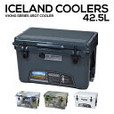 アイスランドクーラーICELAND COOLERS VIKING SERIES 45QT COOLER クーラーボックス バーサーカーズ ソロキャン バーベキュー キャンプ アウトドア 海水浴 川 山 海 おしゃれ 保冷 DES45 WOOD45 WIT45 CHAR45 【ラッピング不可 】 【due】