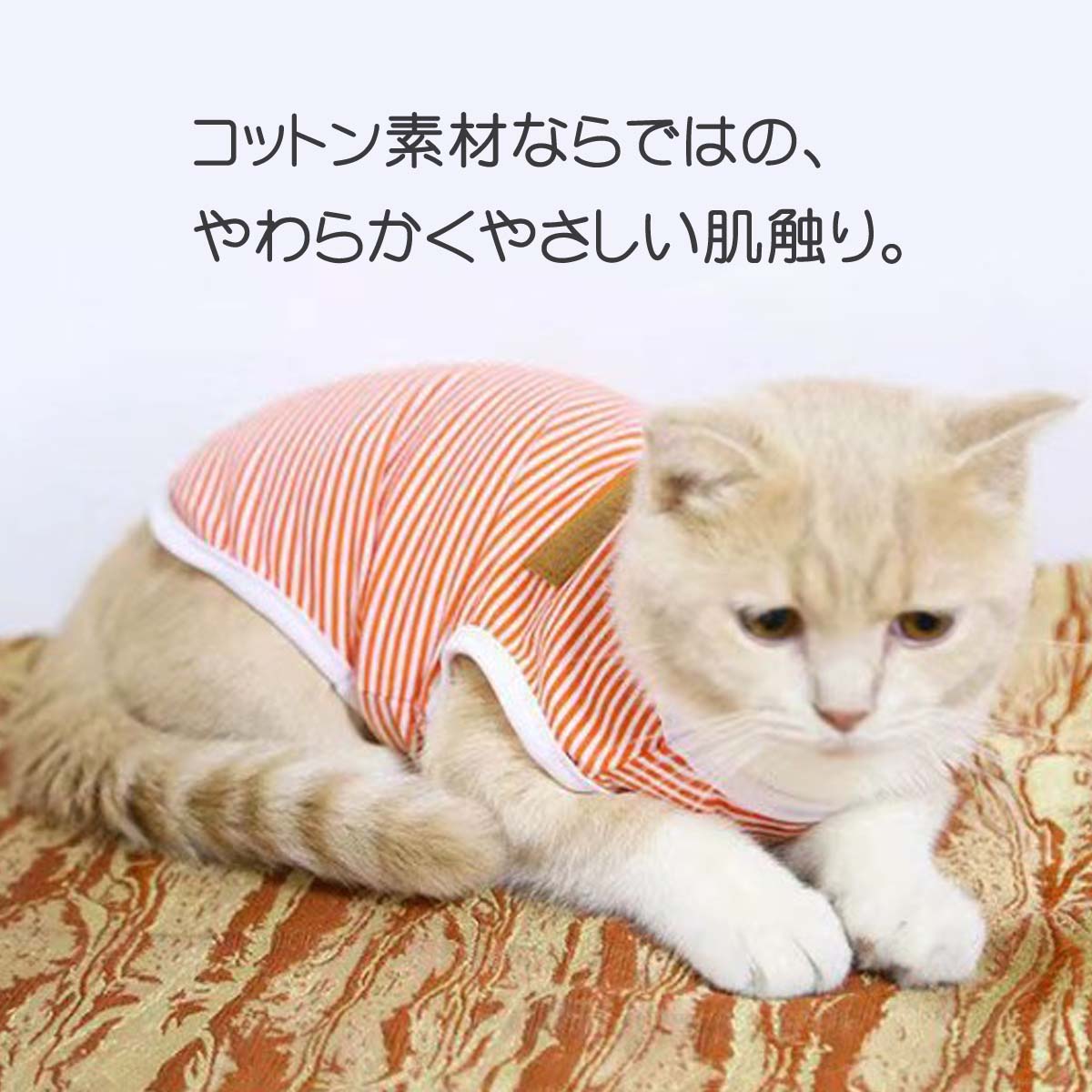 �� �� ���� ���� ǭ �� ǭ�� ���� ǭ�� ���襤�� ���Ӥ� ���ȥ�å� ���åȥ� �ܡ����� ���� �� �� �ղ�