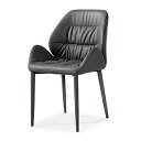 _CjO`FA H֎q ubN MU[  ʍL ₷   z[h _ VbN DINING CHAIR F244 (BK)