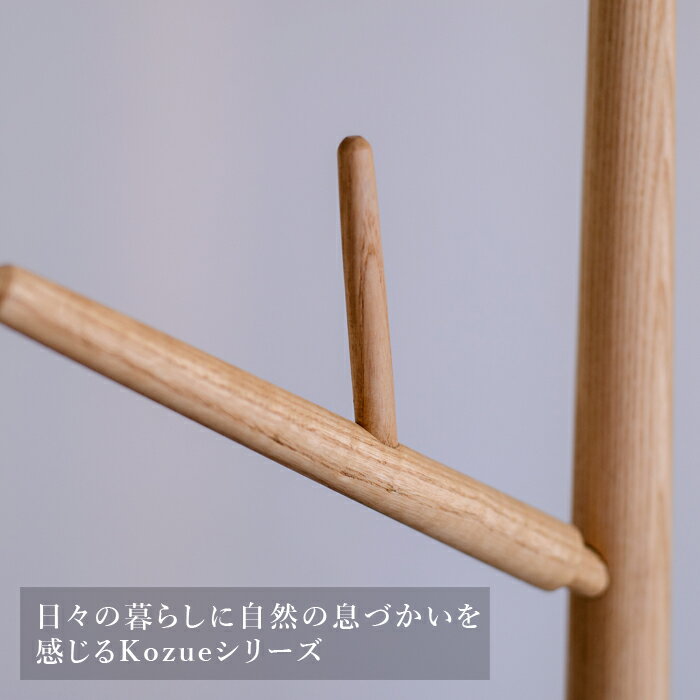 DVectorProject『KOZUEPOLEHANGER(コズエポールハンガー)』